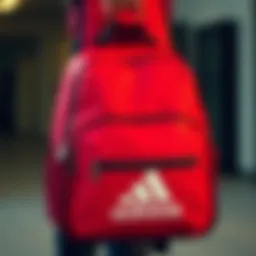Stylish Adidas bag showcasing its sleek design and functionality