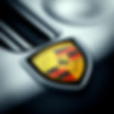 Close-up of Adidas Porsche Design logo
