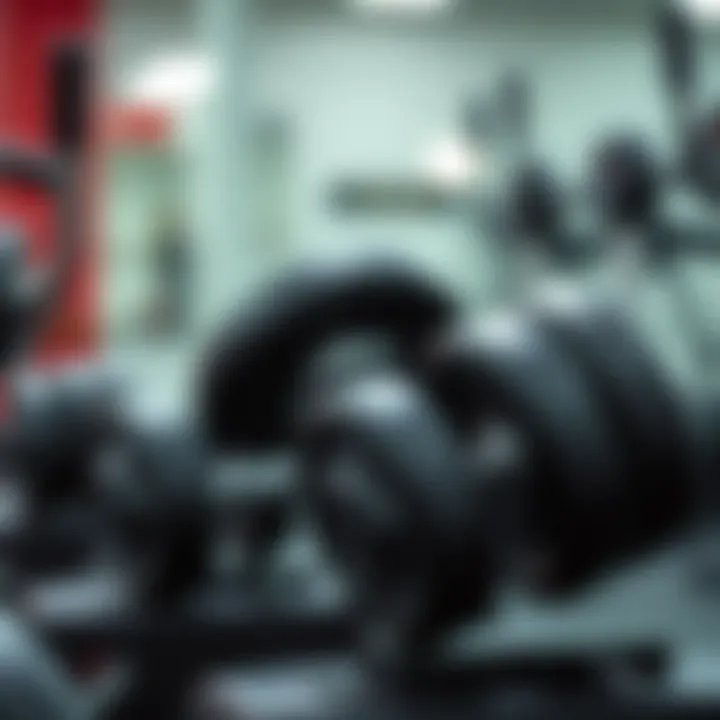 The Mechanics of Adjustable Dumbbells Close-up of adjustable dumbbells demonstrating functionality