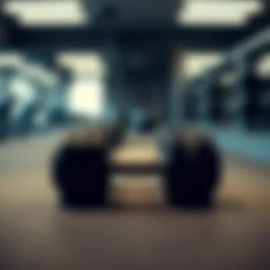 Dumbbells in Fitness Environments Dumbbells in a gym setting highlighting their versatility
