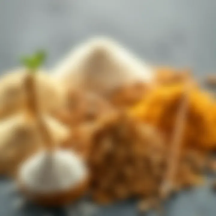 Illustration of carbohydrate powder varieties