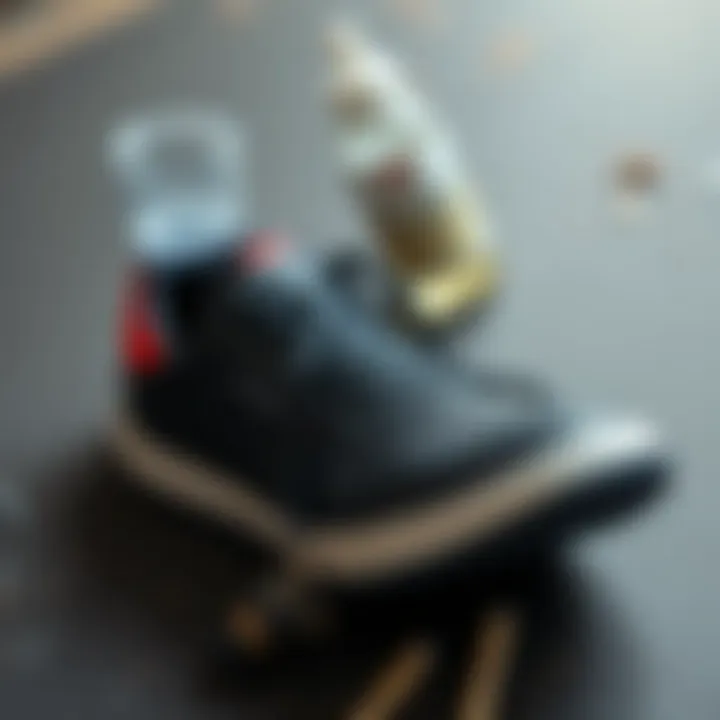 Essential materials for black sports shoe painting