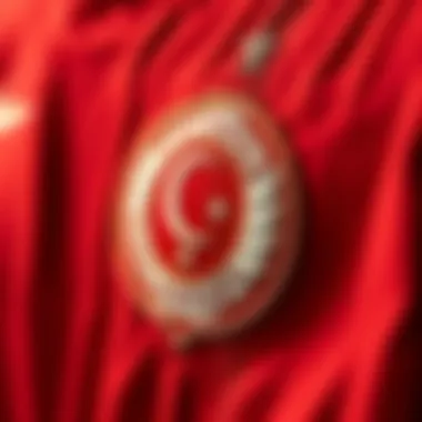 Close-up view of Galatasaray's centenary jersey details