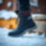 Stylish winter boots designed for elegance and warmth