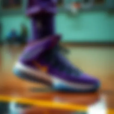 LeBron 19 Purple: Spor Ayakkabılarındaki Dersler Introduction