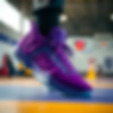 Notable LeBron 19 Purple: Spor Ayakkabılarındaki Dersler