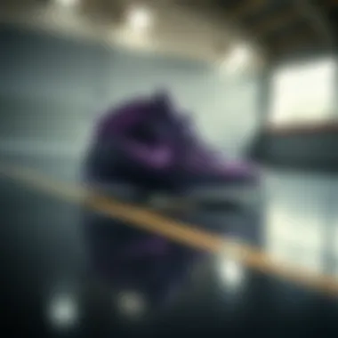 LeBron 19 Purple: Spor Ayakkabılarındaki Dersler Summary