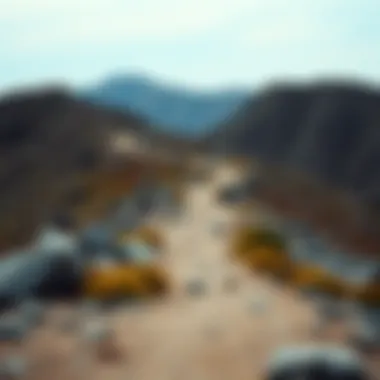 A serene path leading through rugged terrain