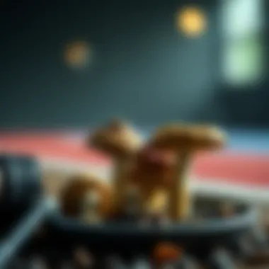 Role of mushrooms in an athlete's diet