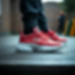 Diverse Skechers shoe collection showcasing various styles and colors