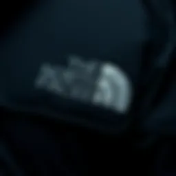 Close-up of the Arctic Parka's fabric texture