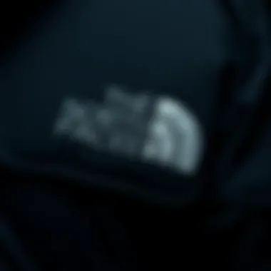 Close-up of the Arctic Parka's fabric texture