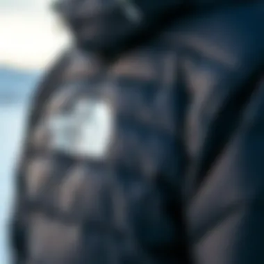 Detailed view of the Arctic Parka's insulation features