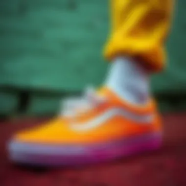 Vibrant Vans footwear showcasing color variety